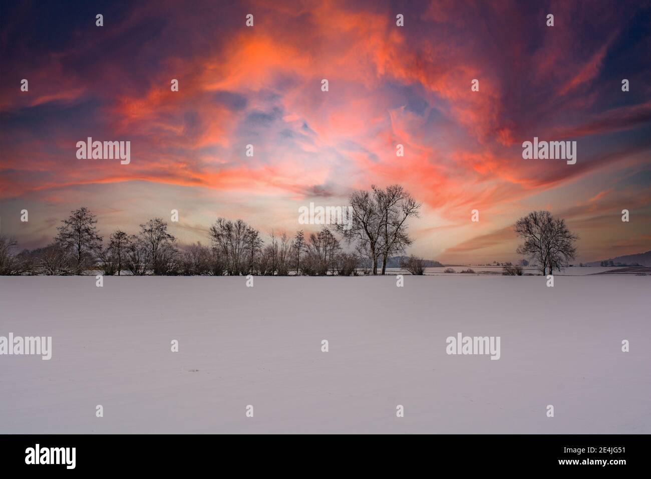 DE - Bade-Wurtemberg : Winterzauber im Abendrot Banque D'Images