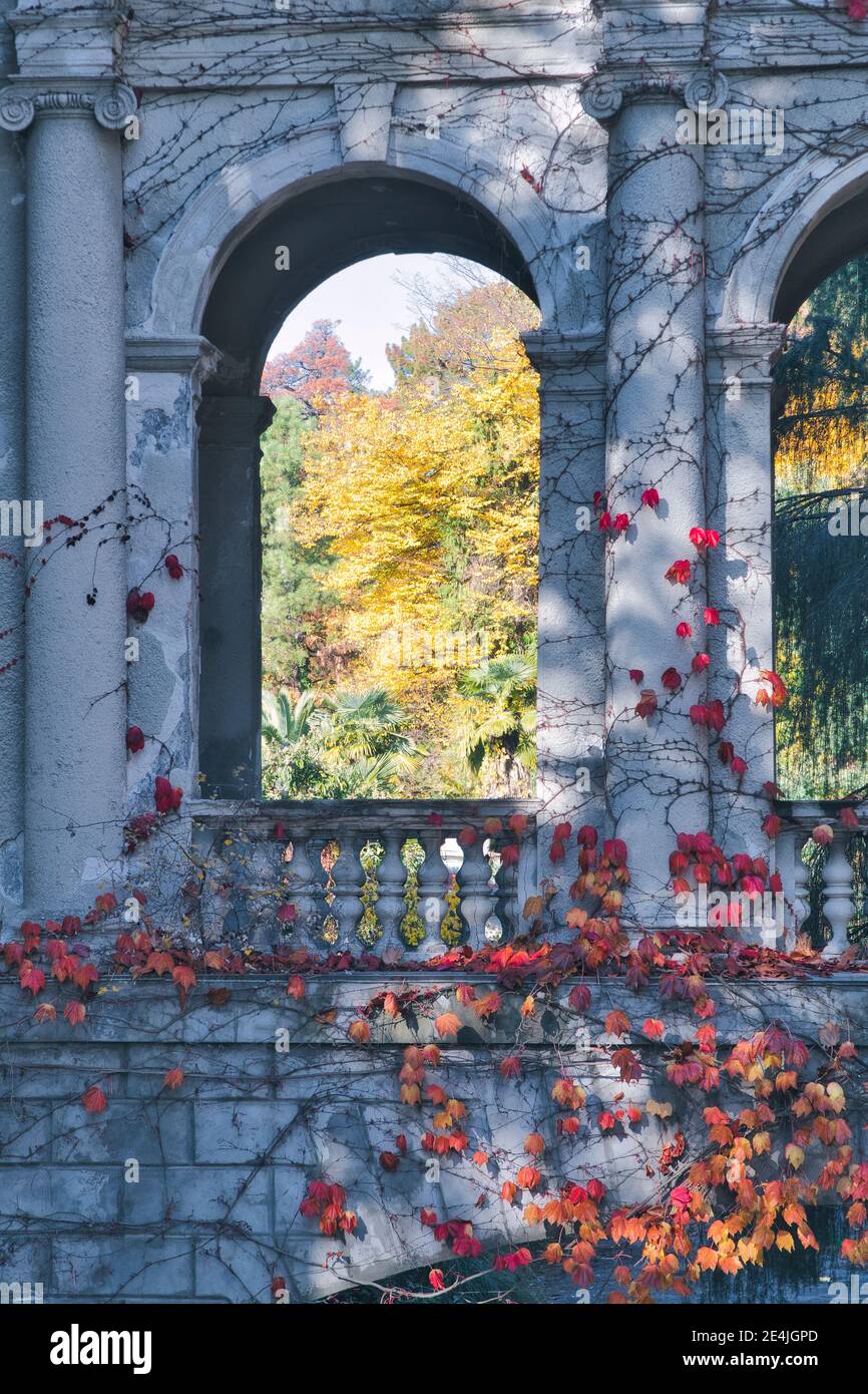 Des feuilles de couleur orange se sont froassées sur la structure construite à l'automne Banque D'Images