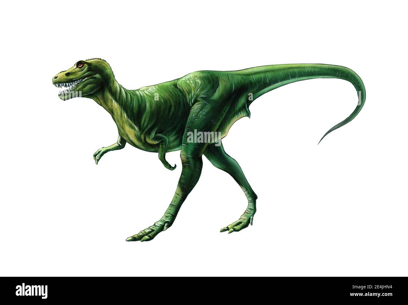 illustrations détaillées des dinosaures Banque D'Images