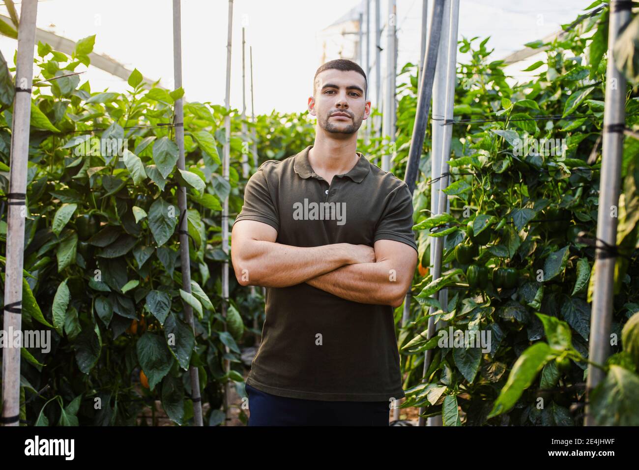 Un jeune fermier mâle plein de confiance debout avec les bras croisés au milieu des plantes à la ferme Banque D'Images