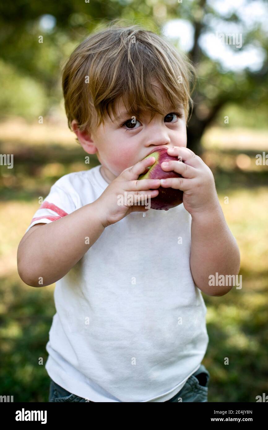 Bébé garçon mangeant de la pomme dans le parc Banque D'Images