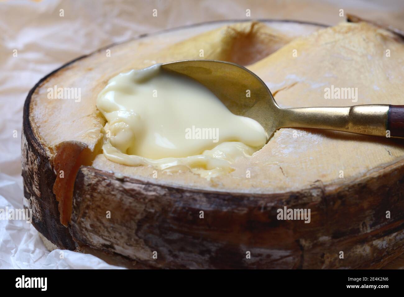 Vacherin Mont d'Or, fromage blanc suisse, Valle de Joux, Vaud Jura, Suisse Banque D'Images