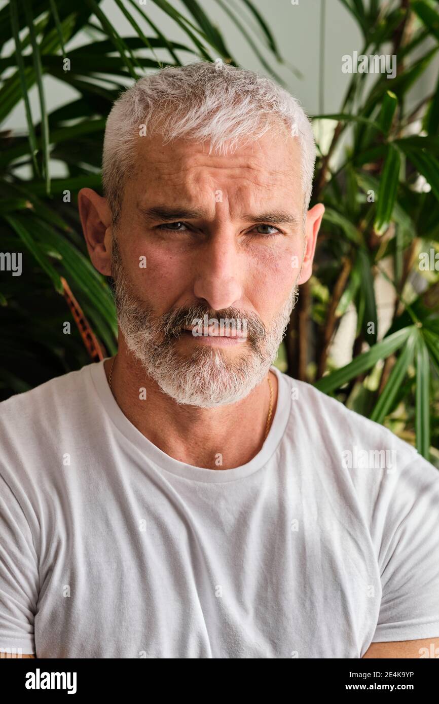 Beau homme mûr avec cheveux blancs et barbe à la maison Banque D'Images