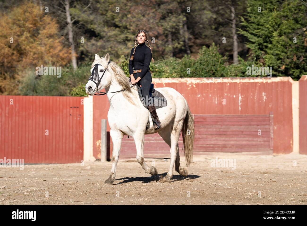 Portrait de femme équitation dans paddock Banque D'Images