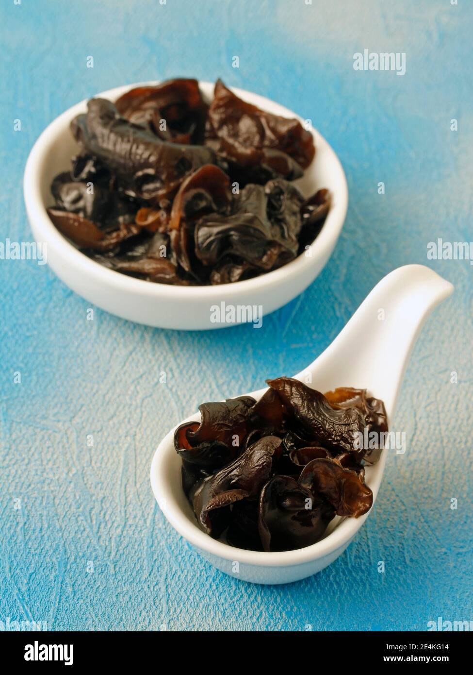 Les champignons de l'oreille de Jusa. Auricularia auricula-judae Banque D'Images