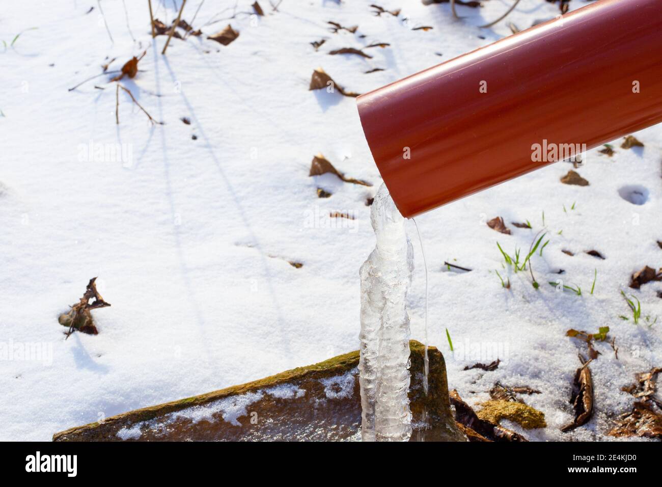 L'eau du toit s'écoule du tuyau de descente et gèle. Griffes à ressort. Banque D'Images