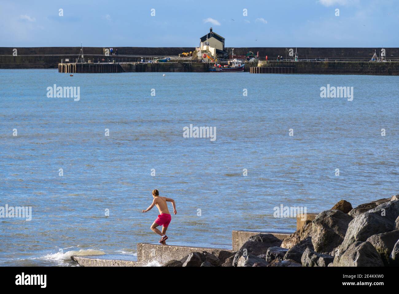 Lyme Regis, Dorset, Royaume-Uni. 24 janvier 2021. UK Météo: Une journée lumineuse, ensoleillée et froide à la station balnéaire de Lyme Regis. Un nageur brave la mer froide glacée au cours du troisième confinement national. Credit: Celia McMahon/Alamy Live News Banque D'Images