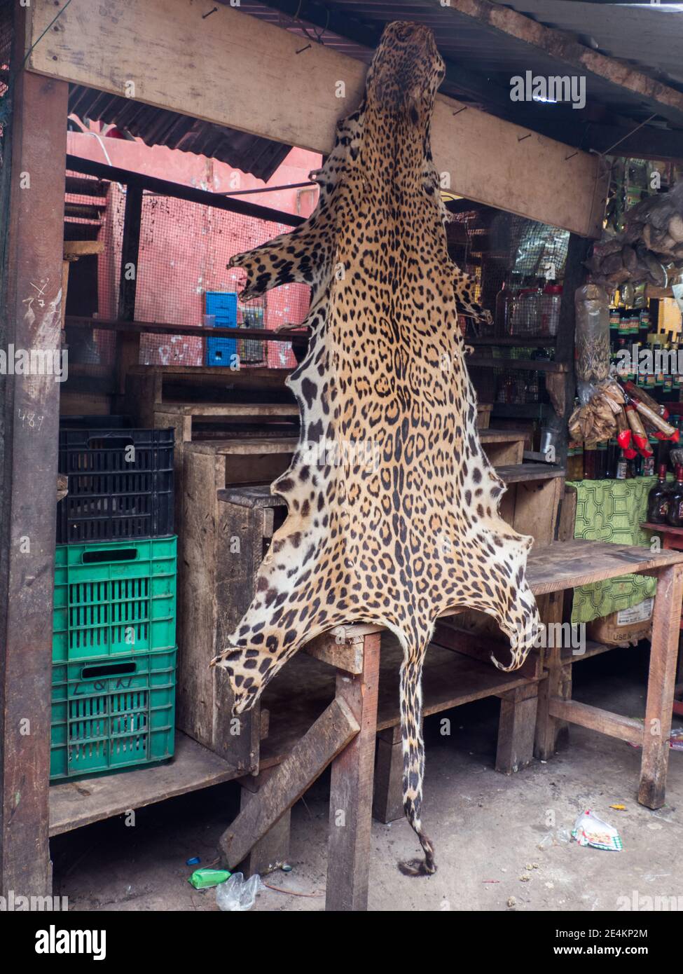 Motif, texture, arrière-plan. Jaguar Skin à Belen bazar (marché de Belén), Iquitos ville sur les rives de l'Amazone, porte de la forêt tropicale, Amazonie, L Banque D'Images