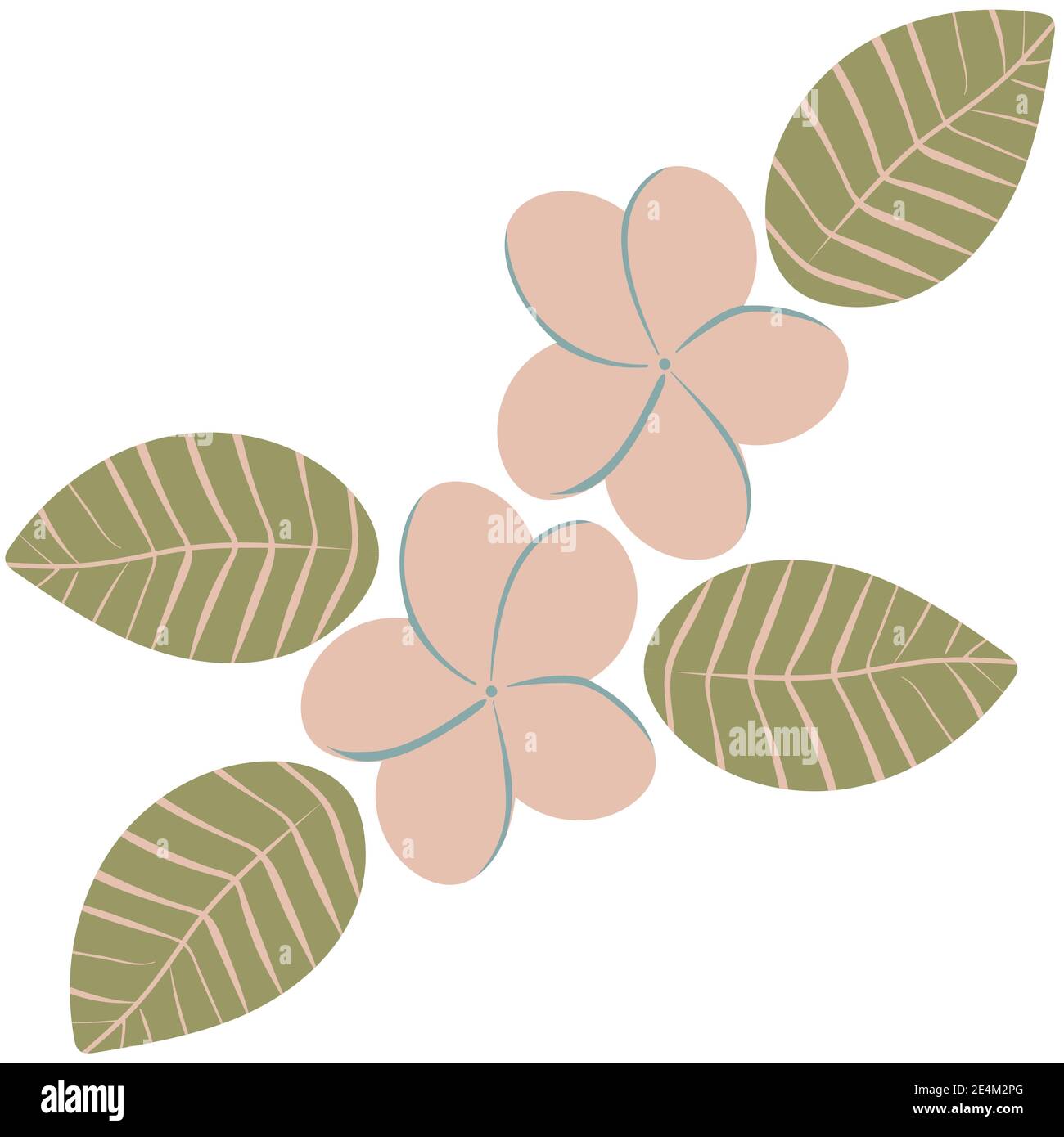plumeria fleurs et feuilles illustration simple Illustration de Vecteur