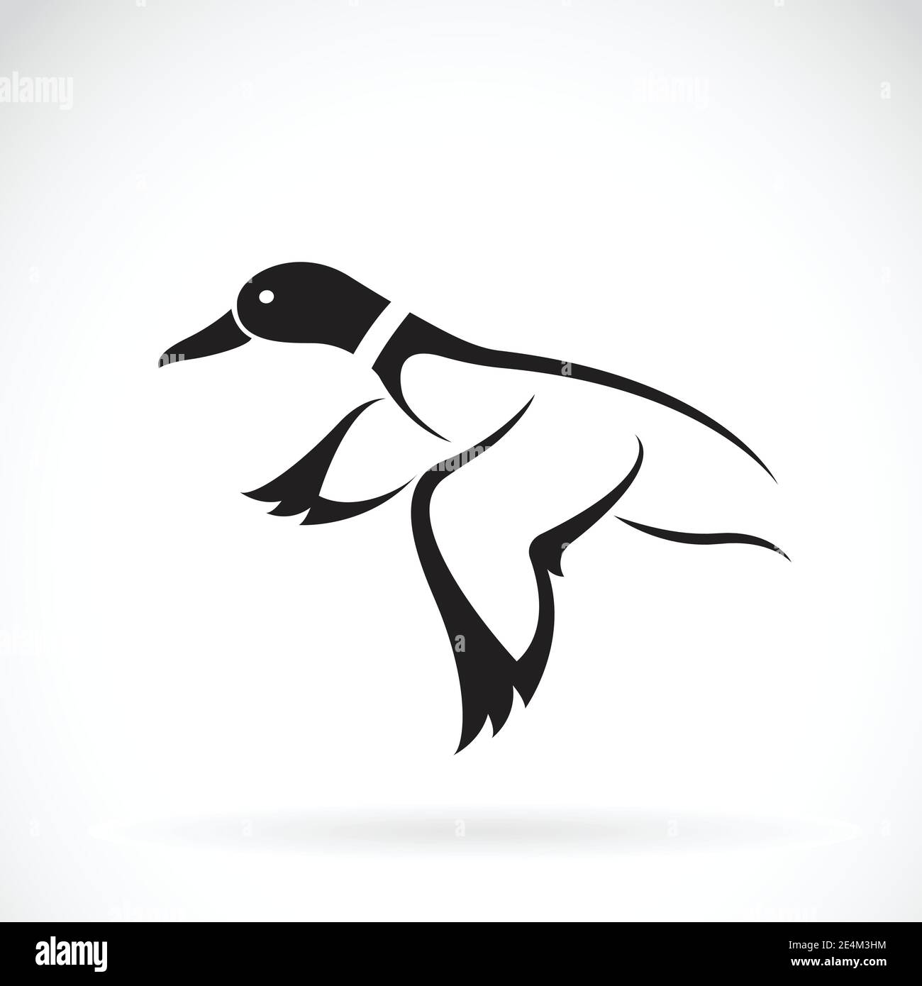 Motif vecteur de canard sauvage volant sur fond blanc. Illustration vectorielle superposée facile à modifier. Animaux. Illustration de Vecteur