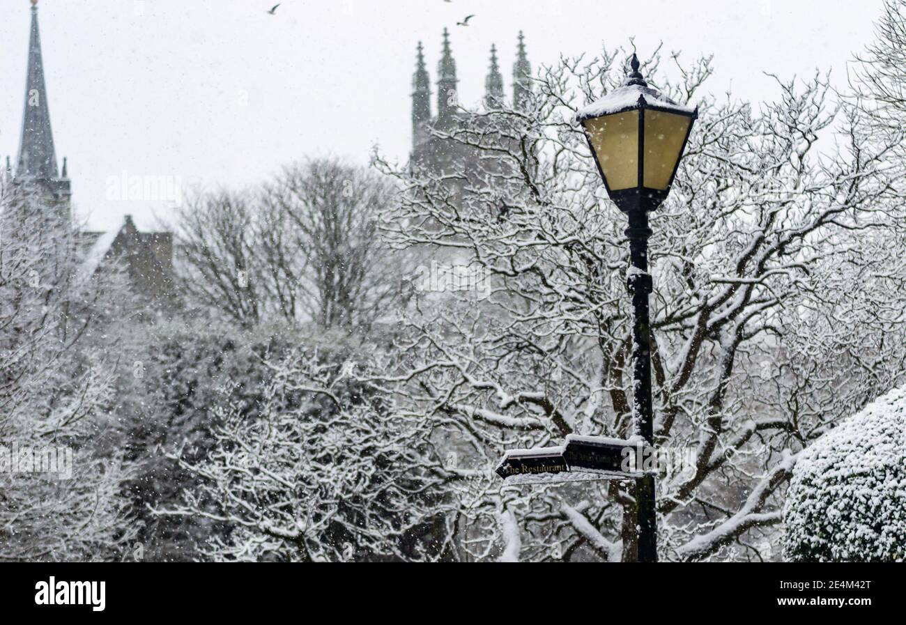 Leamington Spa, Warwickshire, Royaume-Uni: 24 janvier 2021: Jephson Gardens est peint en blanc comme un grand groupe de flutters de neige à travers le Royaume-Uni le dimanche matin. Credit: Ryan Underwood / Alamy Live News Banque D'Images