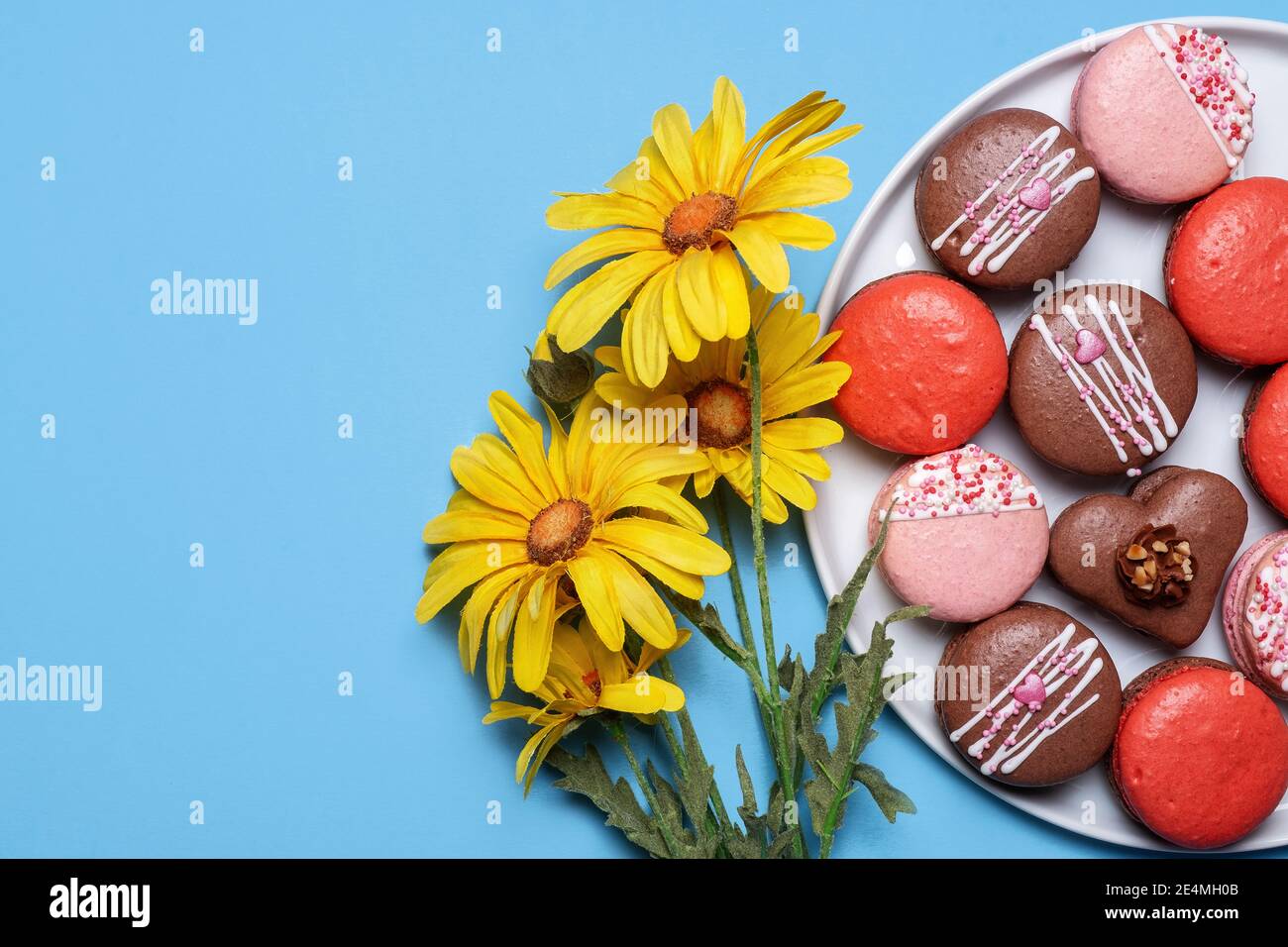 Assortiment de macarons sur fond bleu avec Marguerite jaune printemps fleurs avec espace de copie et espace pour le texte Banque D'Images