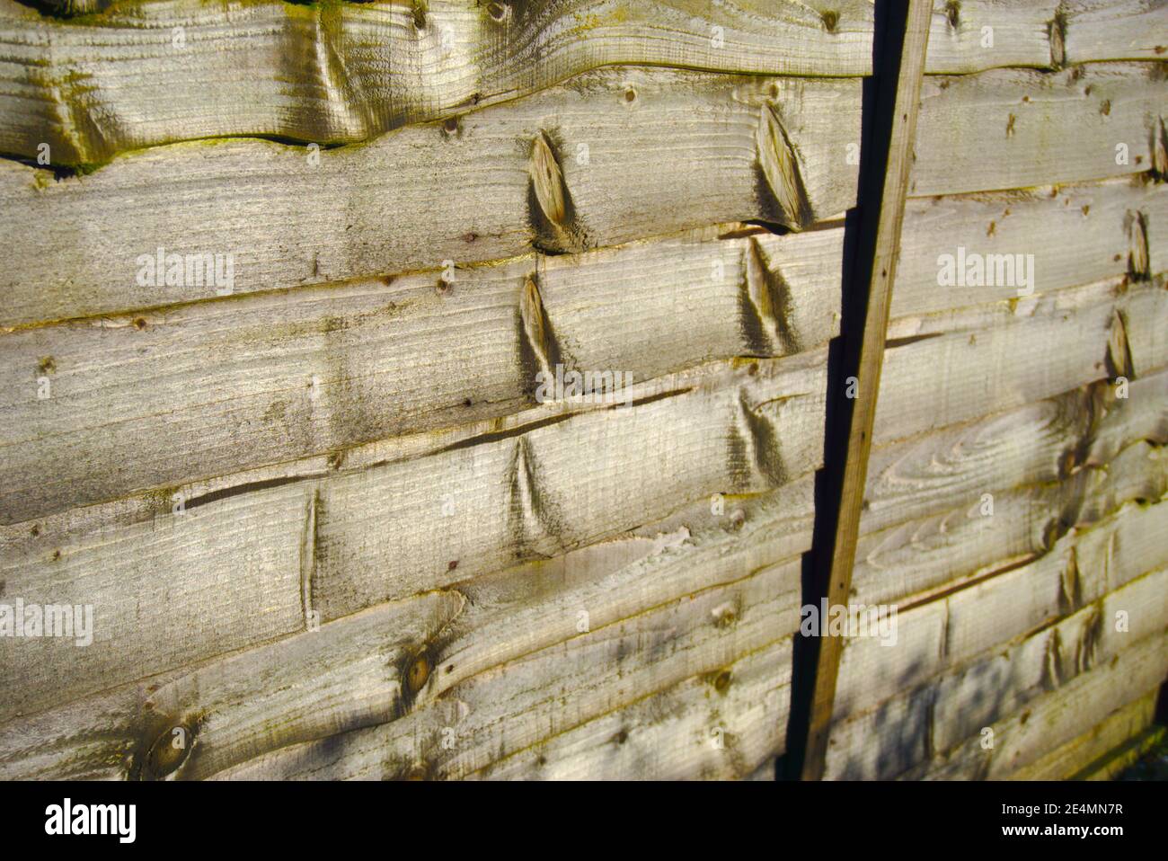 Gros plan de planches en bois faisant une clôture de jardin avec de nombreux noeuds dans le bois donnant un effet abstrait. Banque D'Images