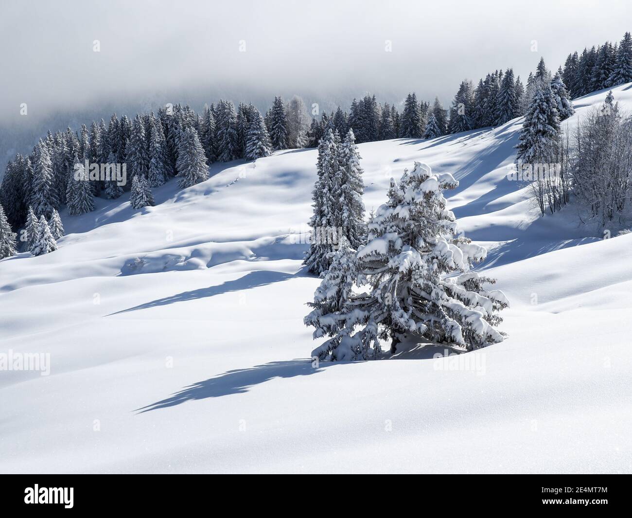 Schamserberg, Suisse : paysage d'hiver du parc naturel de Schamserberg et Piz Beverin. Banque D'Images