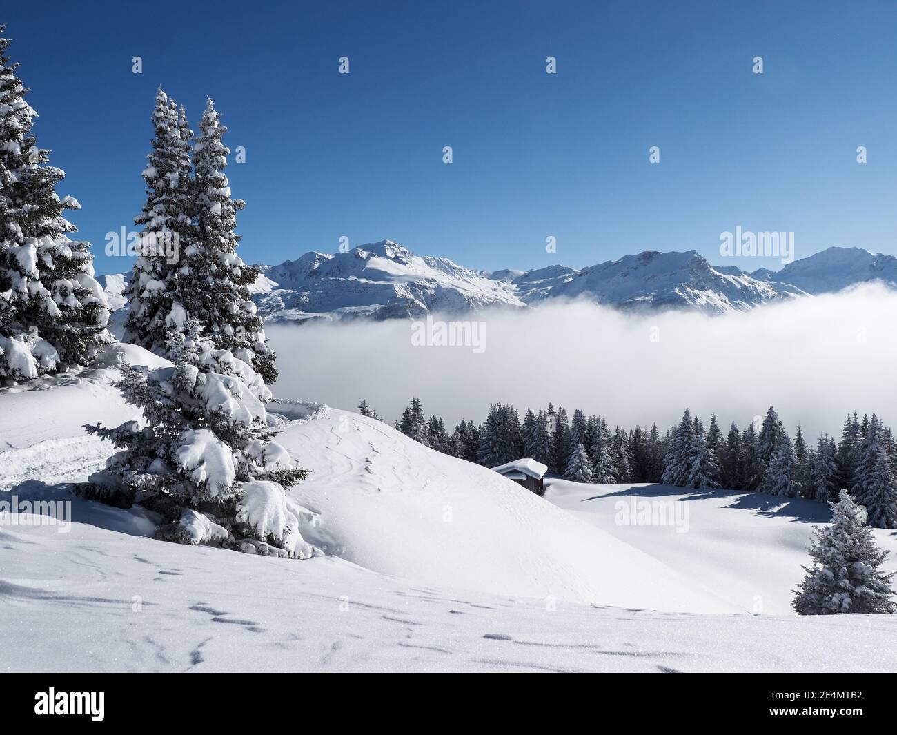 Schamserberg, Suisse : paysage d'hiver du parc naturel de Schamserberg et Piz Beverin. Banque D'Images