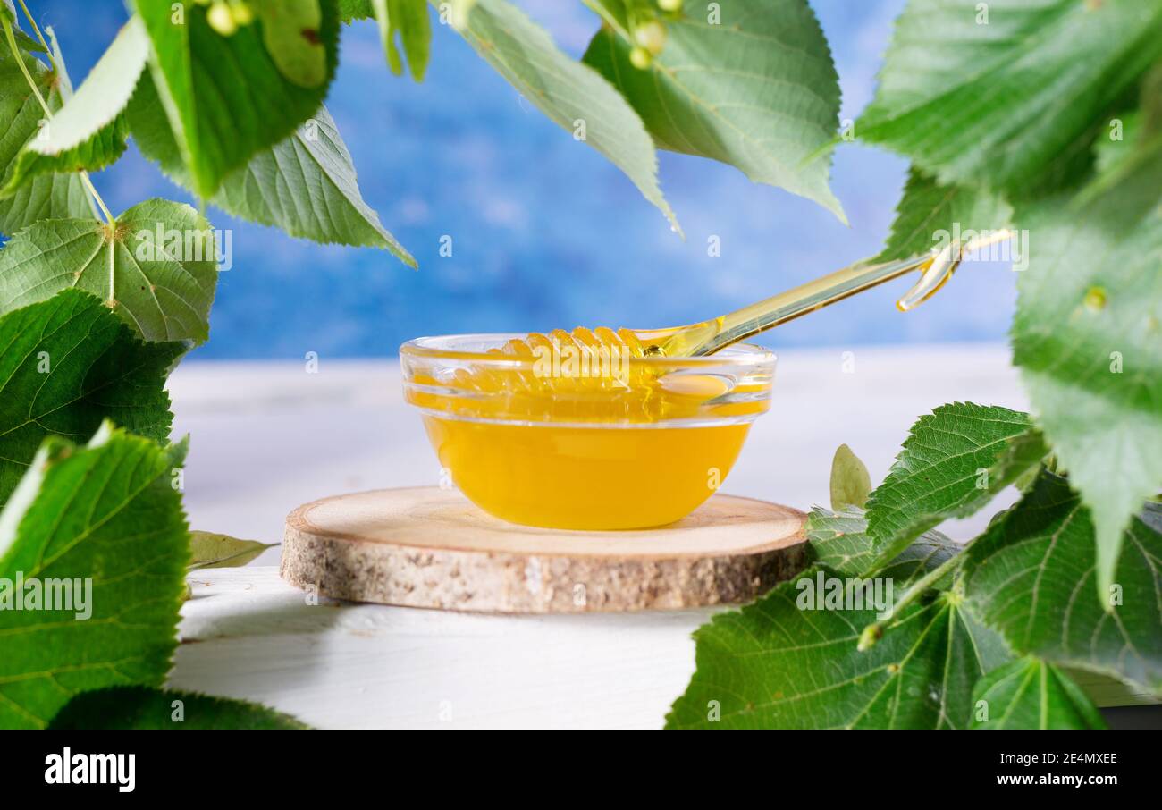 Linden miel en pot et bol avec un balancier au miel sur une table en bois blanc. Branche défocused de linden au premier plan. Banque D'Images
