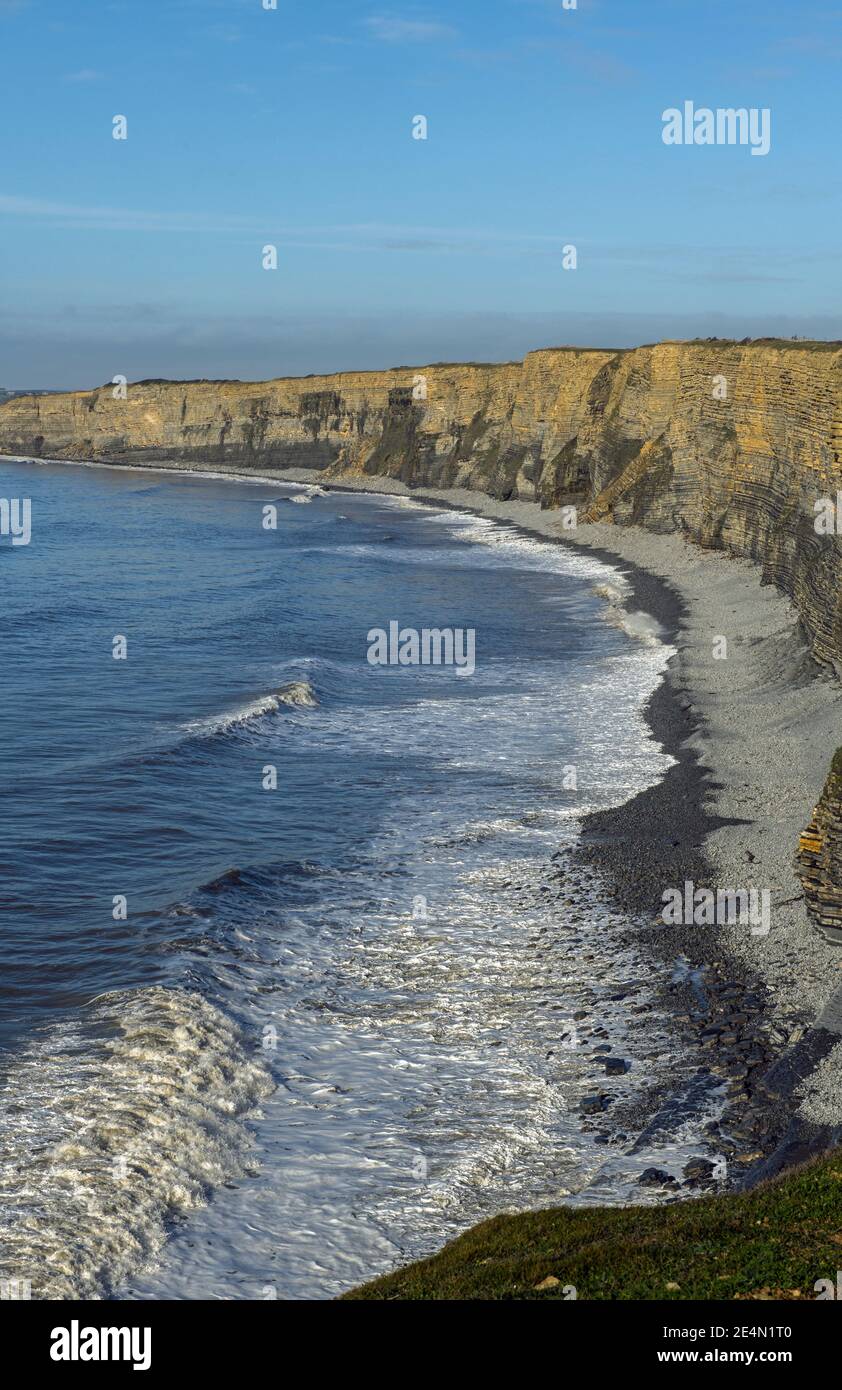Une vue portrait de la courbe des falaises de calcaire Liassic qui s'étend à l'ouest depuis la plage de Nash point sur un après-midi ensoleillé de novembre, côte sud du pays de Galles Banque D'Images