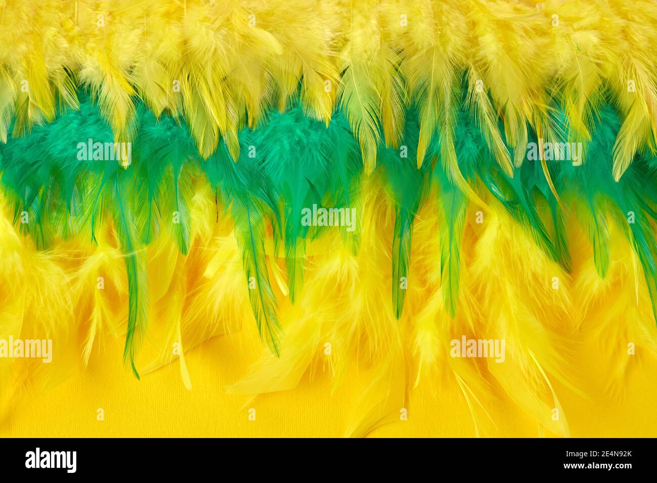 Brasil Mardi gras arrière-plan de carnaval avec des plumes multicolores Banque D'Images