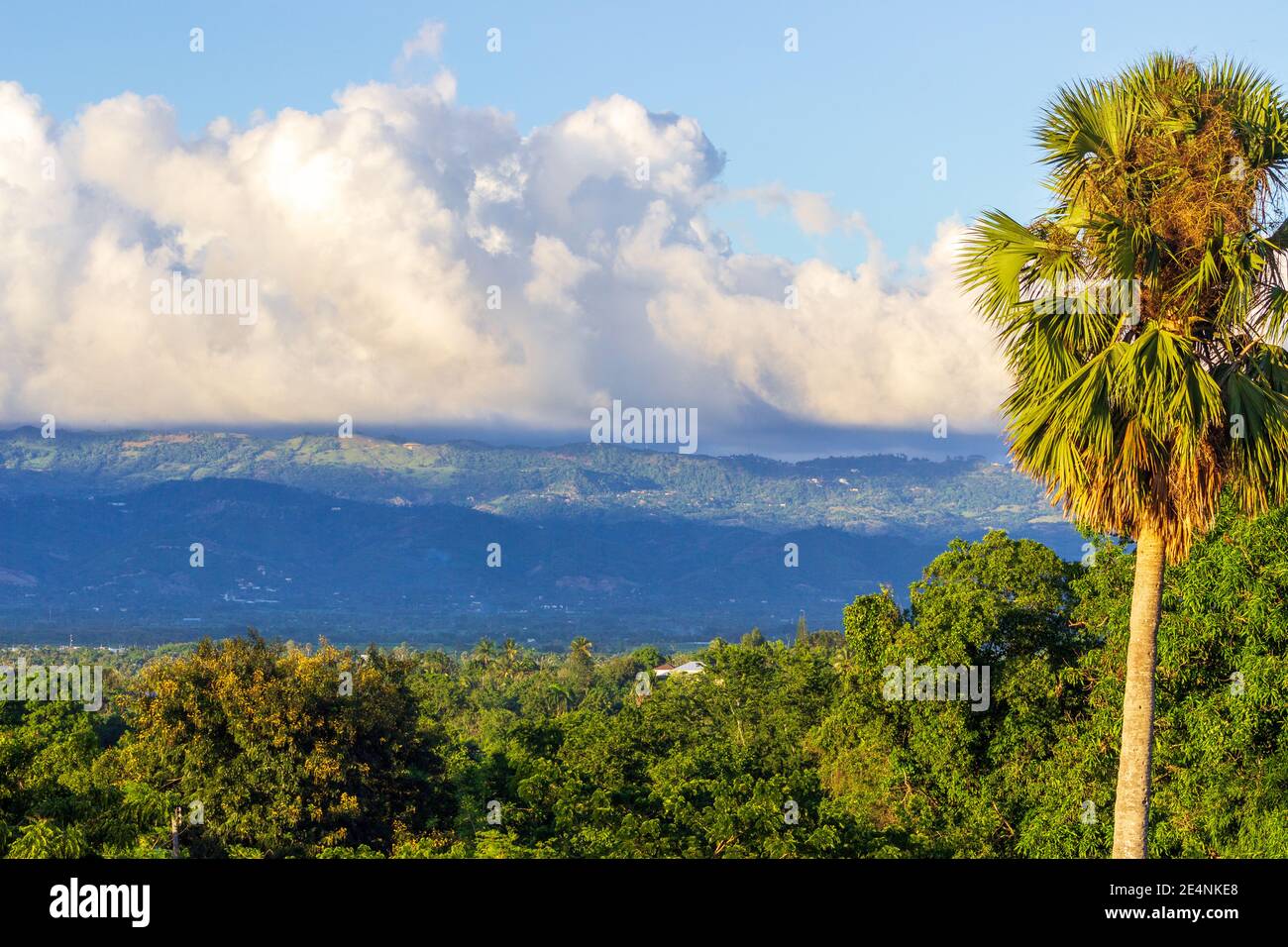 Les montagnes de la Cordillère Septentrionale, baignées de nuages blancs bouffieux, offrent une toile de fond aux palmiers, au feuillage tropical et aux terres agricoles. République dominicaine. Banque D'Images
