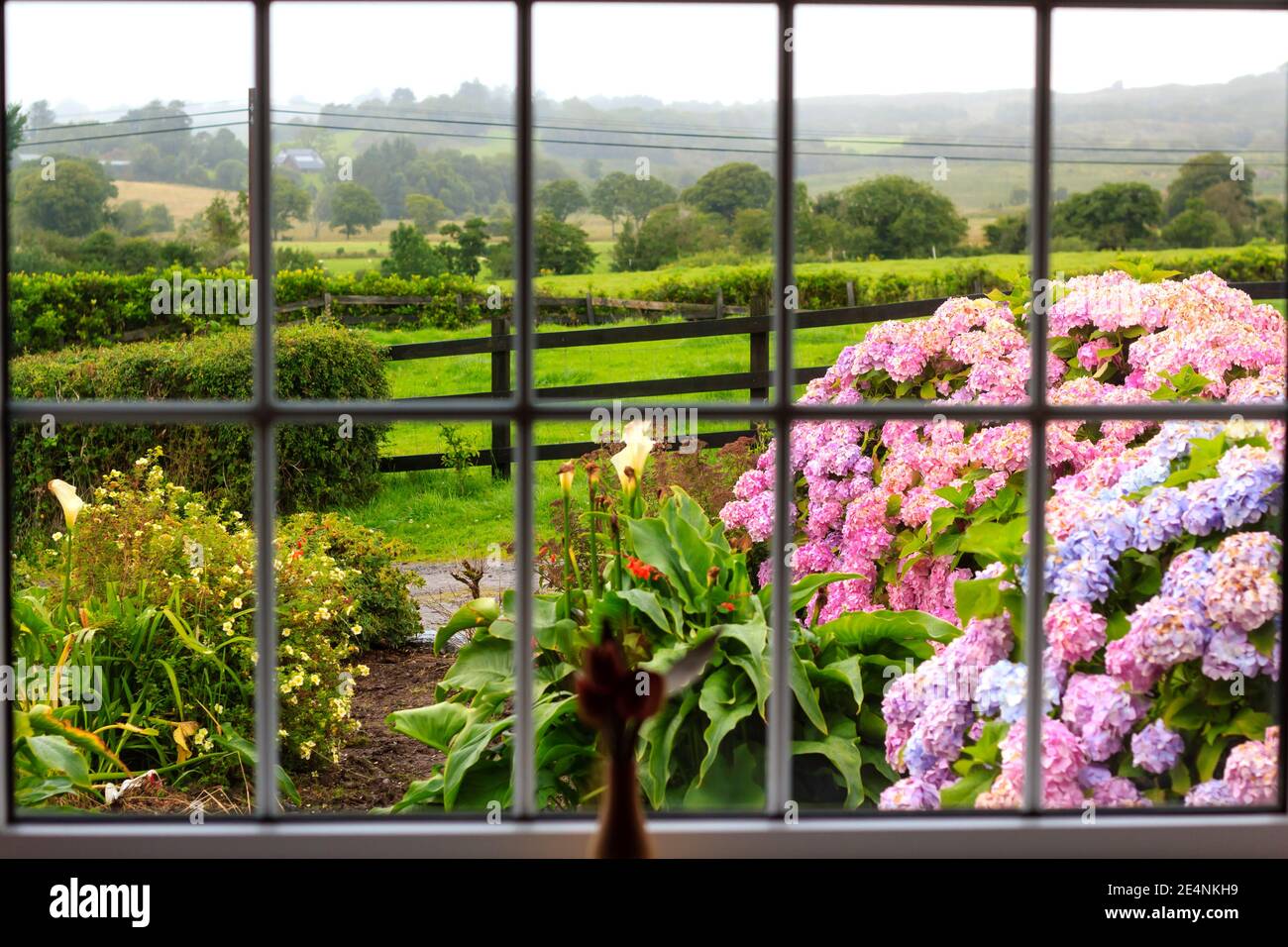 Vue sur le jardin humide du matin de l'intérieur par la grande fenêtre. Un jardin fleuri est également aménagé dans une campagne irlandaise verdoyante. Banque D'Images