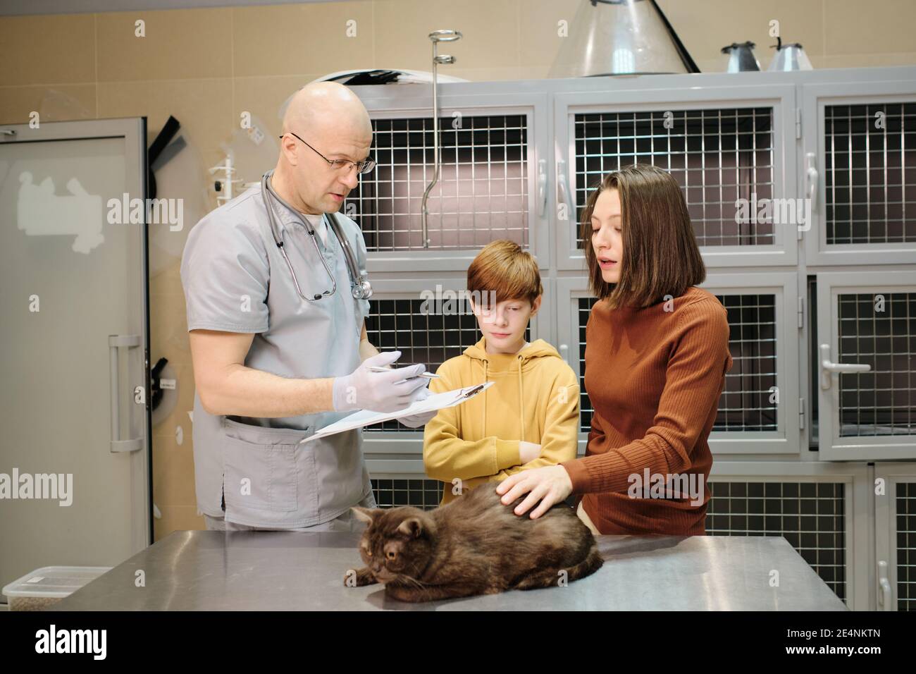 Vétérinaire mature en uniforme traitant l'animal domestique à la clinique vétérinaire il explique les méthodes de traitement à la femme Banque D'Images