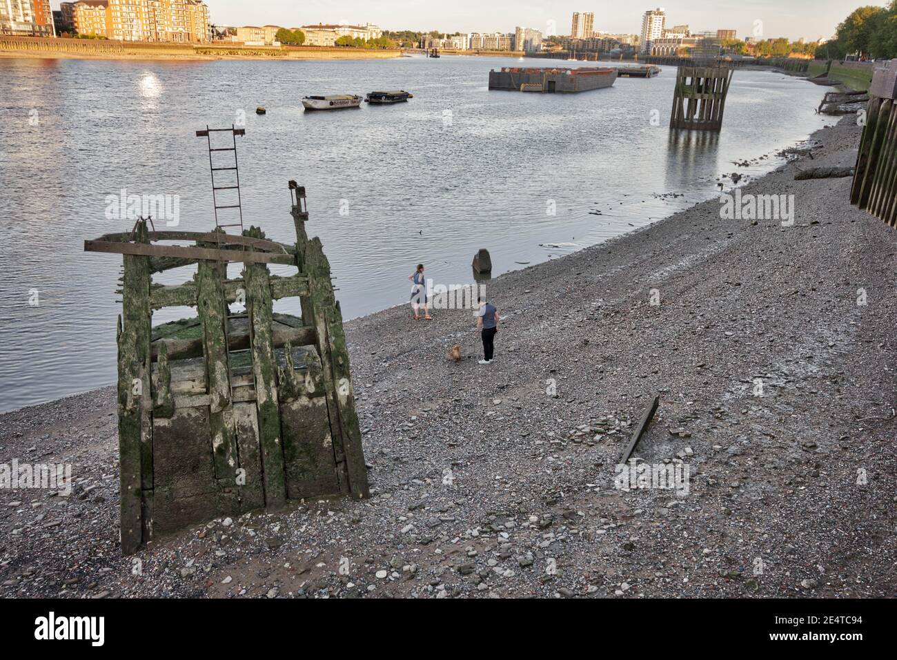Homme et femme ont marché le chien sur la Tamise à marée basse l'après-midi au coucher du soleil Banque D'Images