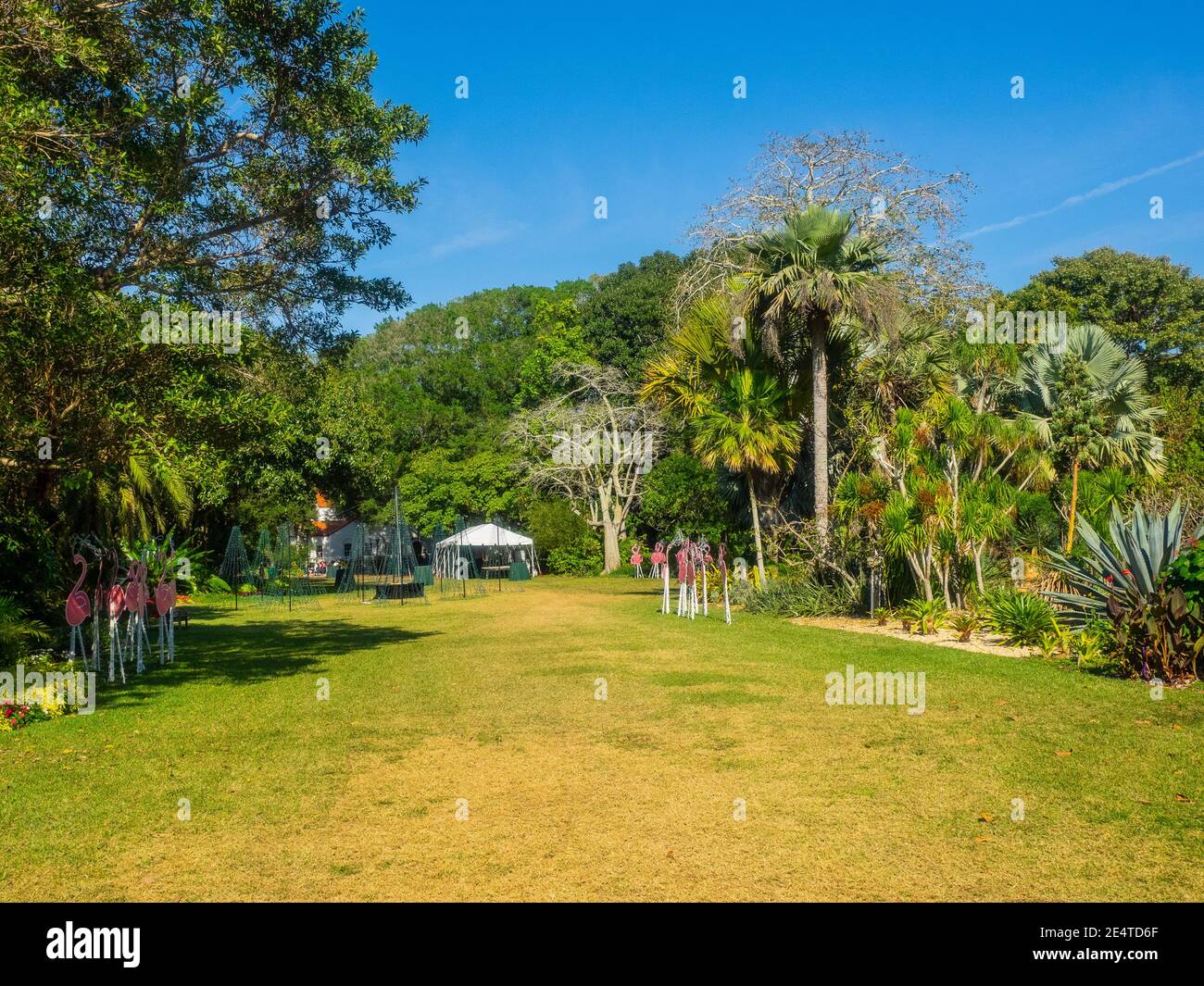 Marie Selby Botanical Gardens est un jardin botanique de 15 hectares (6.1 ha) situé au 900 South Palm Avenue à Sarasota, Floride. Banque D'Images