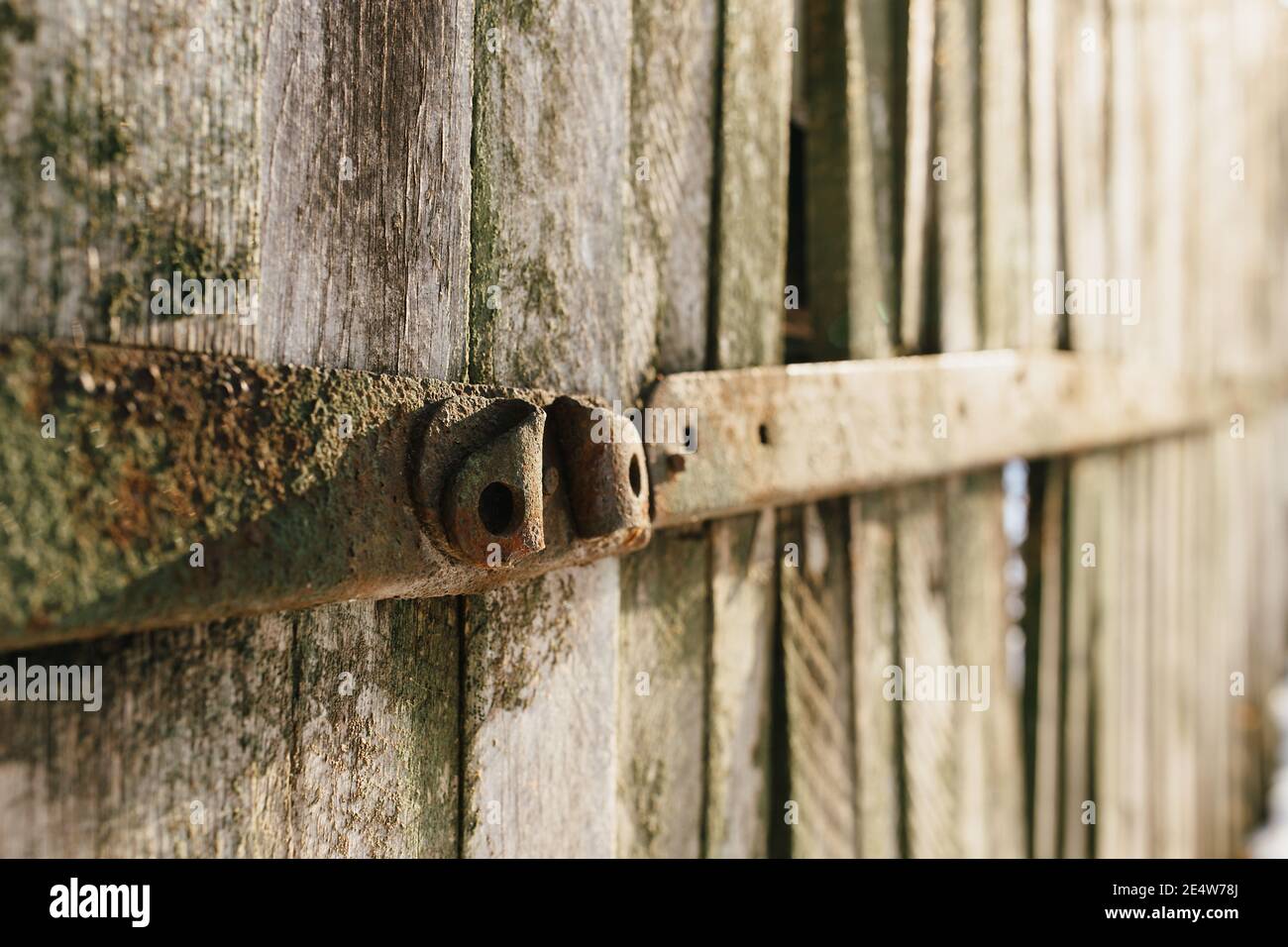 Vieux arrière-plan de clôture en bois. Texture des anciennes planches Banque D'Images