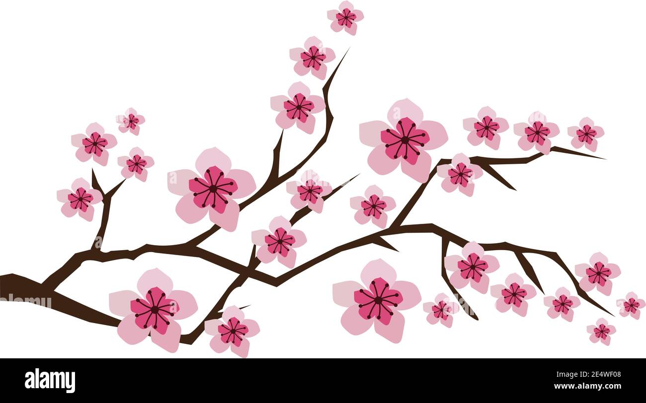 illustration vectorielle de branches de fleurs avec fleurs roses, fleurs de cerisier, orchidée. Illustration de Vecteur