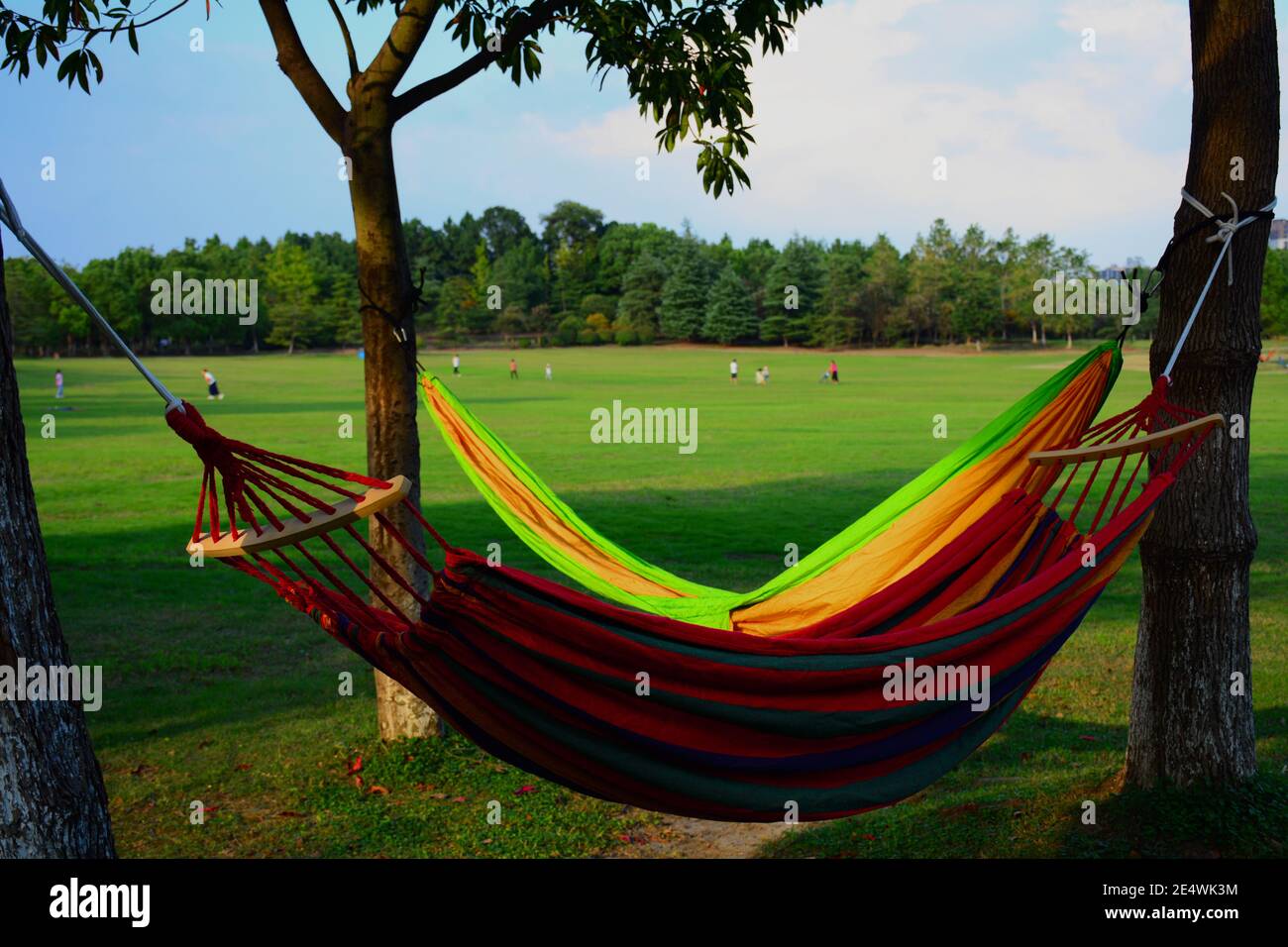 Un couple coloré de hamacs pendent des arbres dans les jardins botaniques de Jiaxing.parfait pour faire une sieste après avoir joué à des jeux sur le vert. Banque D'Images