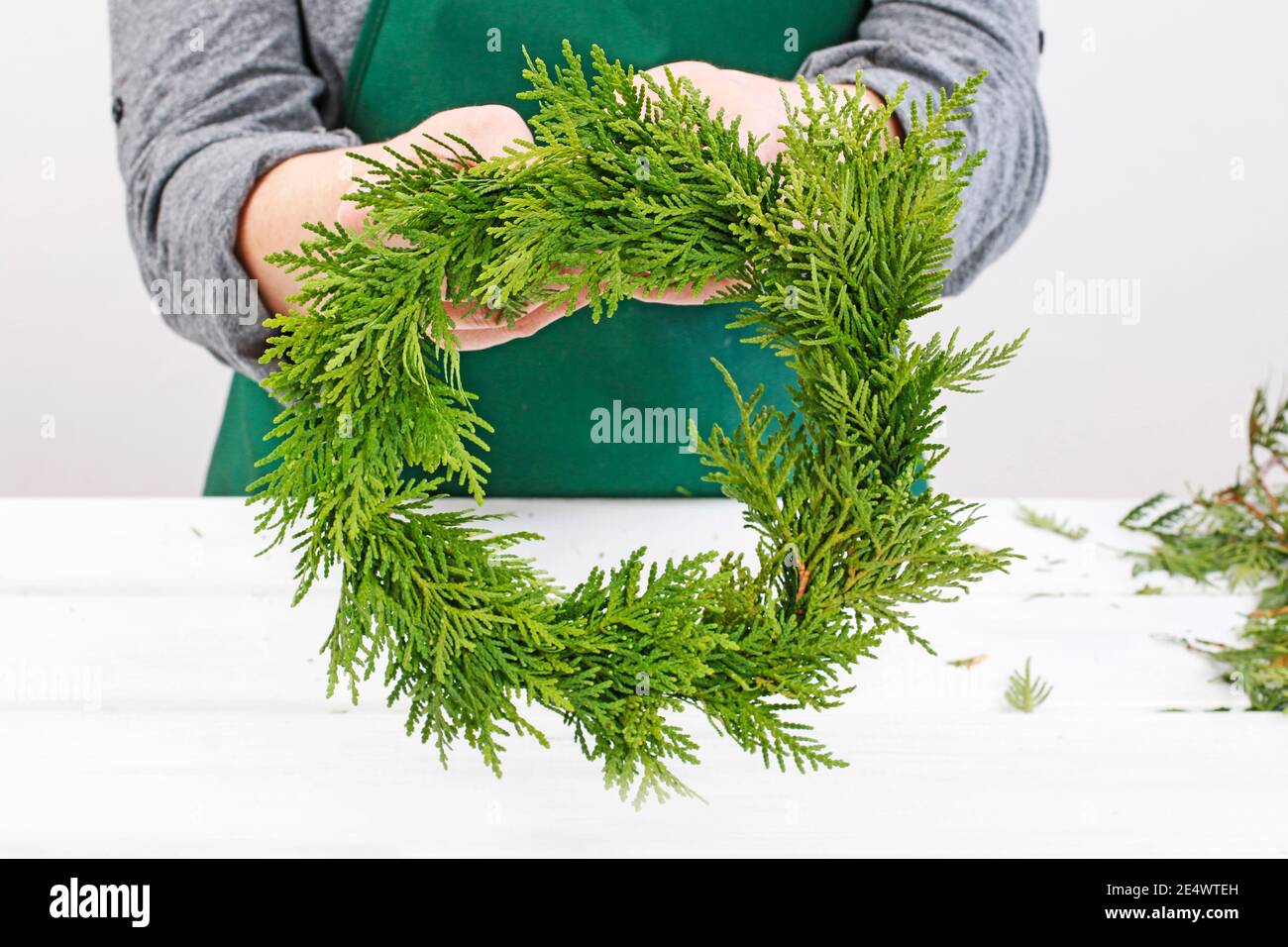 Fleuriste au travail: Comment faire des couronnes de porte de noël traditionnelles avec des brindilles de thuja. Étape par étape, tutoriel. Banque D'Images