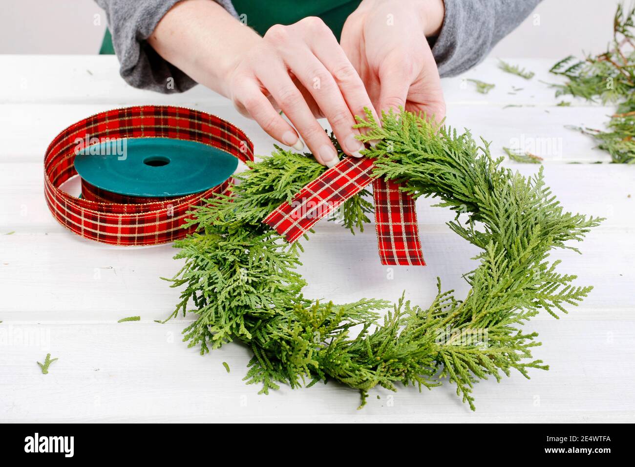 Fleuriste au travail: Comment faire des couronnes de porte de noël traditionnelles avec des brindilles de thuja. Étape par étape, tutoriel. Banque D'Images