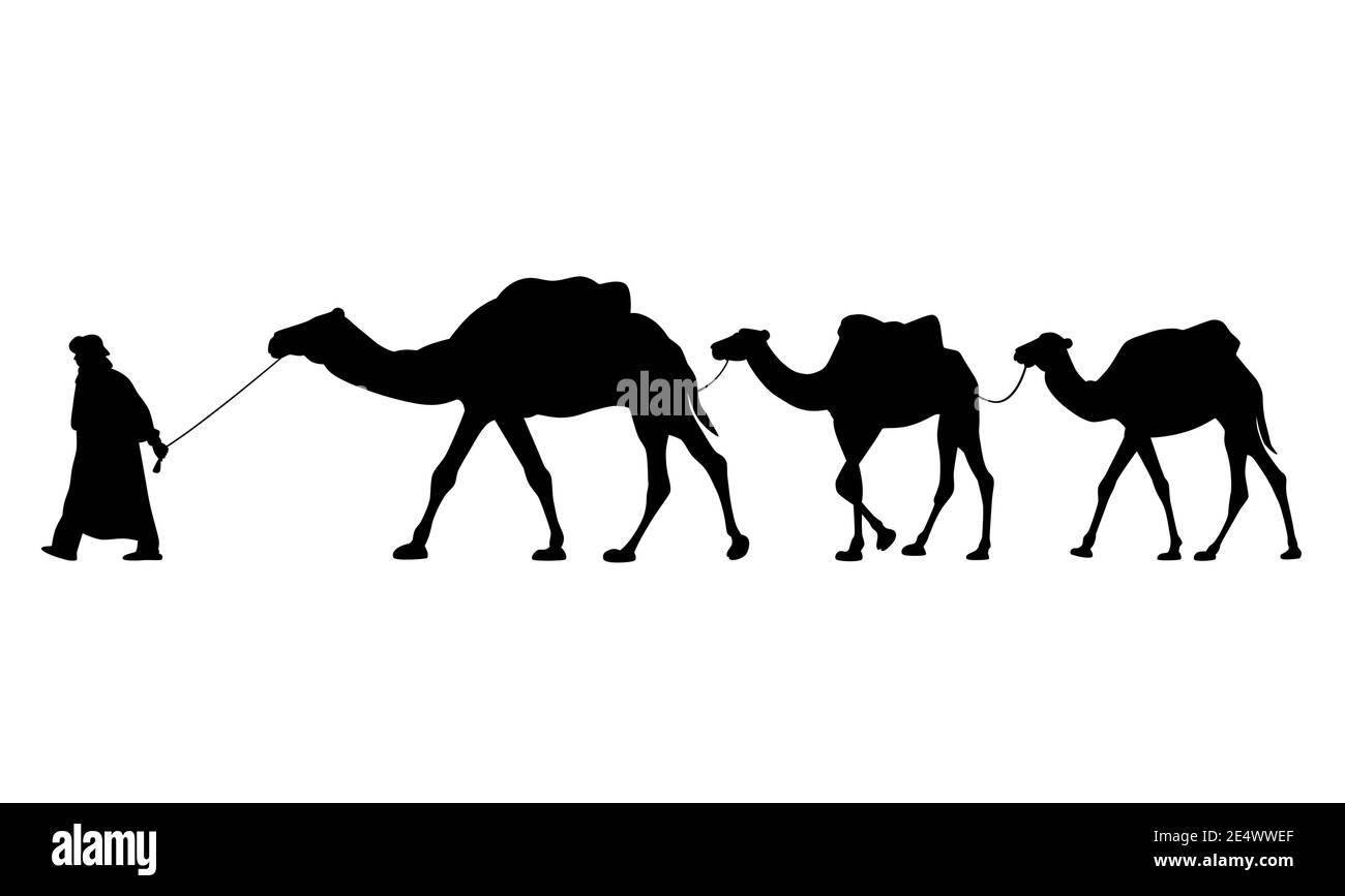 Silhouette de caravane de chameaux. Conducteur-berbère avec trois chameaux dromadaire. Illustration vectorielle EPS8 Illustration de Vecteur