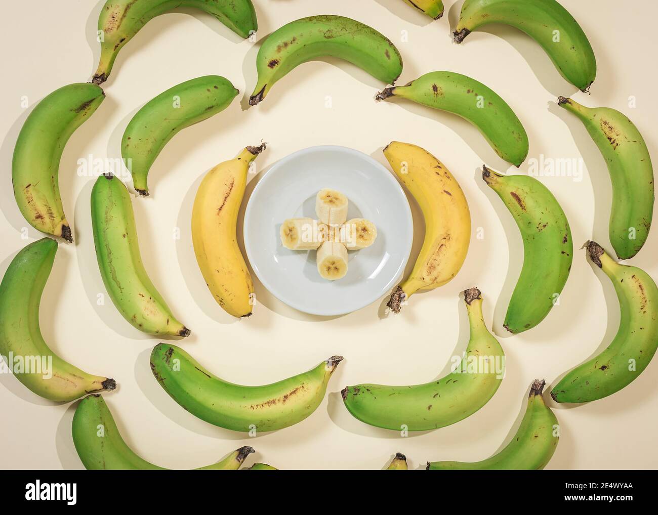Bananes dans un cercle avec une assiette au centre avec des tranches de banane. La photo est prise d'un point de vue supérieur et les couleurs douces prédominent. Banque D'Images