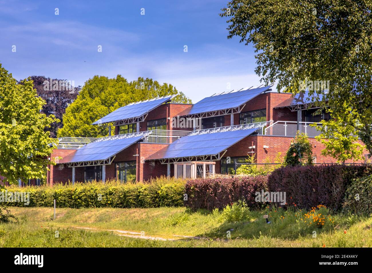 Bâtiment d'école publique avec panneaux solaires utilisés comme protection contre la lumière du soleil. Ombrer les salles de classe tout en générant de l'électricité. Une situation gagnant-gagnant. TH Banque D'Images