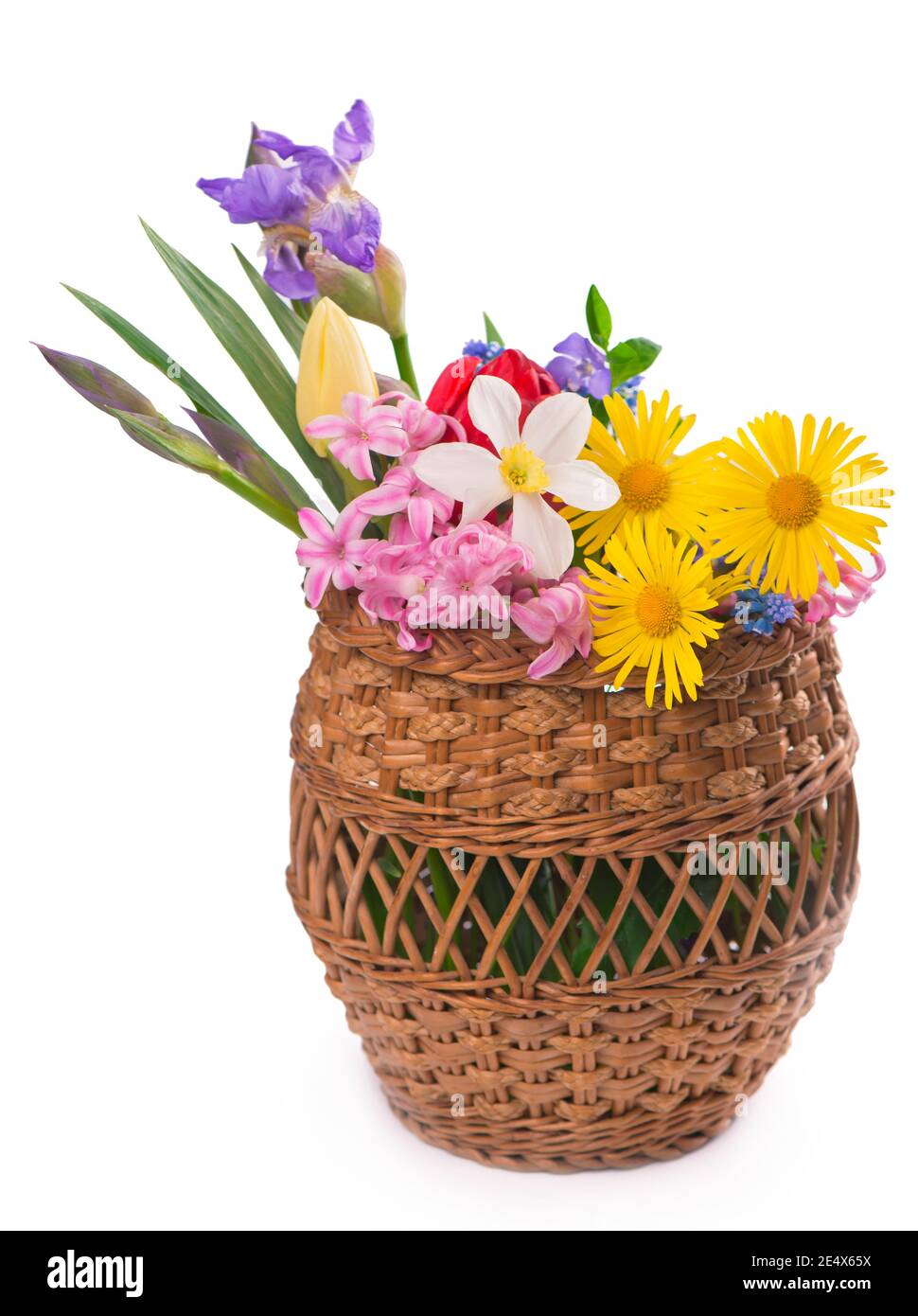 Fleurs de printemps jonquilles et tulipes dans le panier Banque D'Images