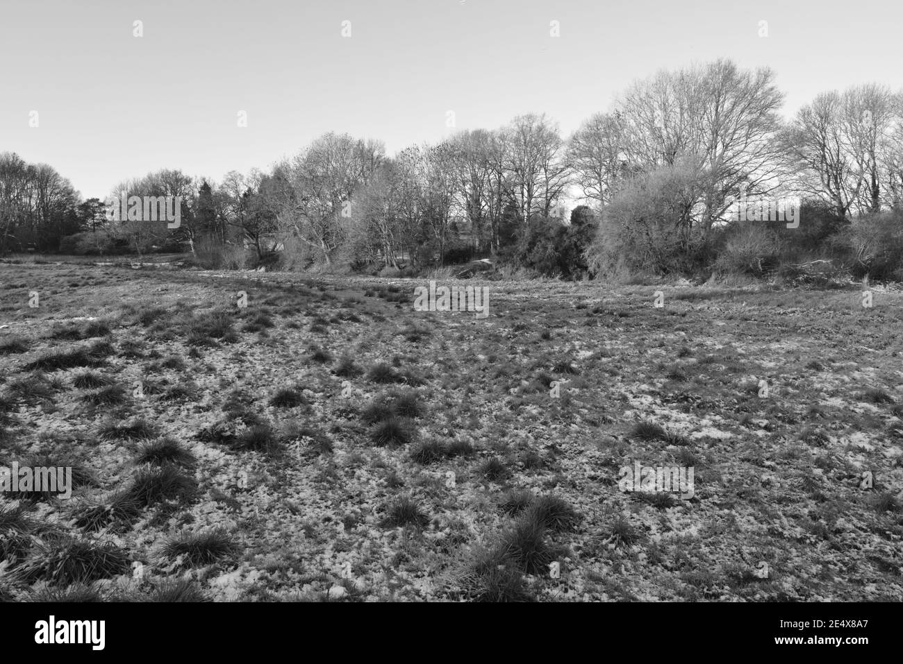 Eau glacée gelée dans une plaine inondable de Horley, Surrey, Royaume-Uni, en janvier 2021 Banque D'Images