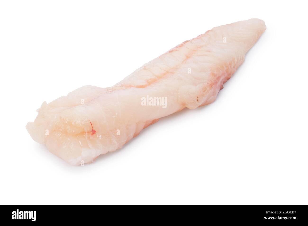 Photo de studio de queue de monkfish coupée contre un blanc Contexte - John Gollop Banque D'Images