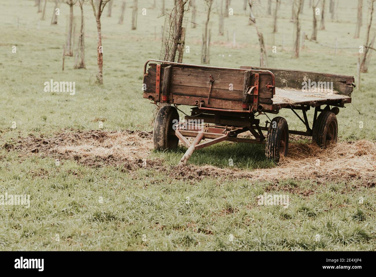 Vue du chariot de ferme à accrocher à un tracteur dans le champ Banque D'Images