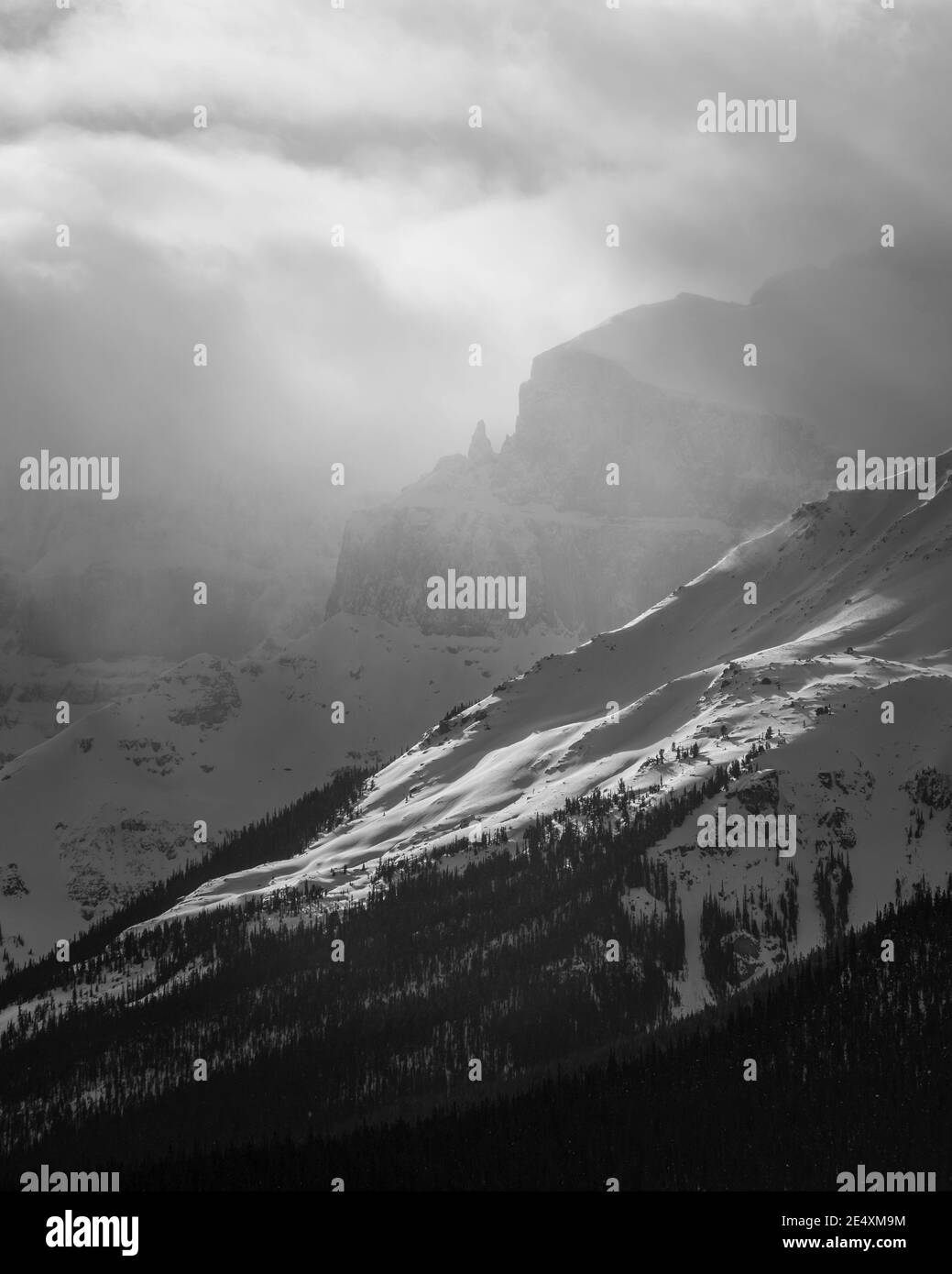 Une lumière spectaculaire traverse les conditions atmosphériques dans les Rocheuses canadiennes pendant l'hiver en noir et blanc. Banque D'Images