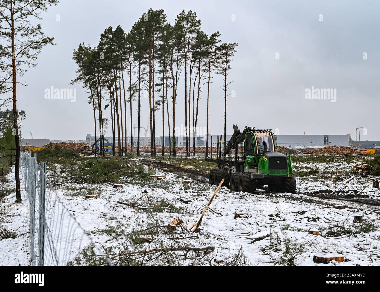 25 janvier 2021, Brandebourg, Grünheide : une zone forestière défrichée sur le chantier de construction du Gigafactory Tesla à l'est de Berlin. Un maximum de 500,000 véhicules par an doit sortir de la chaîne de production à l'usine à partir de juillet 2021 - le constructeur automobile prévoit d'atteindre le maximum le plus rapidement possible. Le constructeur automobile américain prévoit initialement d'employer jusqu'à 10,500 personnes par quart dans sa première usine prévue en Europe. Photo: Patrick Pleul/dpa-Zentralbild/ZB Banque D'Images
