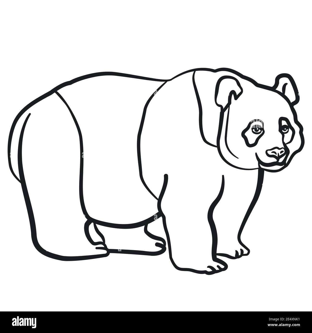 illustration linéaire noir et blanc de l'ours panda le fond blanc Illustration de Vecteur