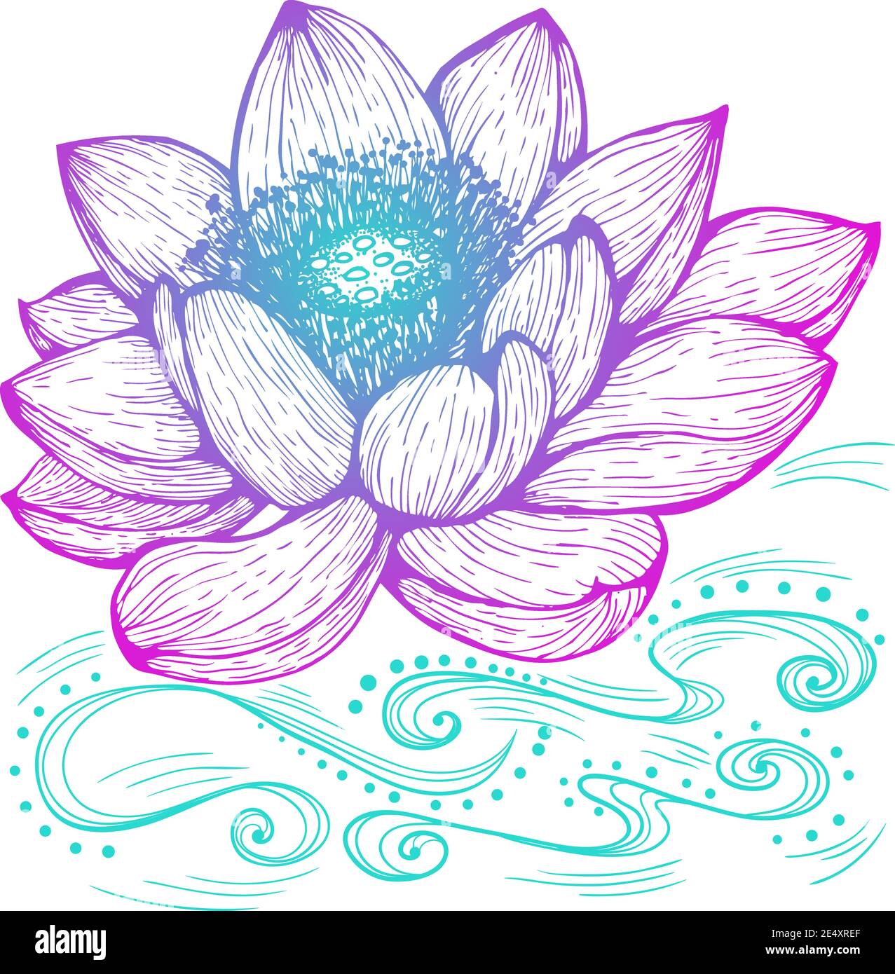 Fleur De Lotus Dessin Couleur Lotus flower line art ink Banque de photographies et d'images à haute  résolution - Alamy