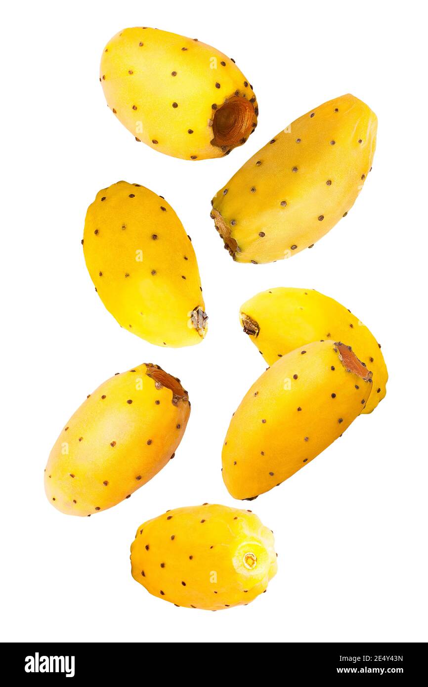 Des fruits opuntia volants. Sept morceaux de poire jaune entière tombant pickly fruit cactus isolé sur fond de withe avec chemin de coupure Banque D'Images