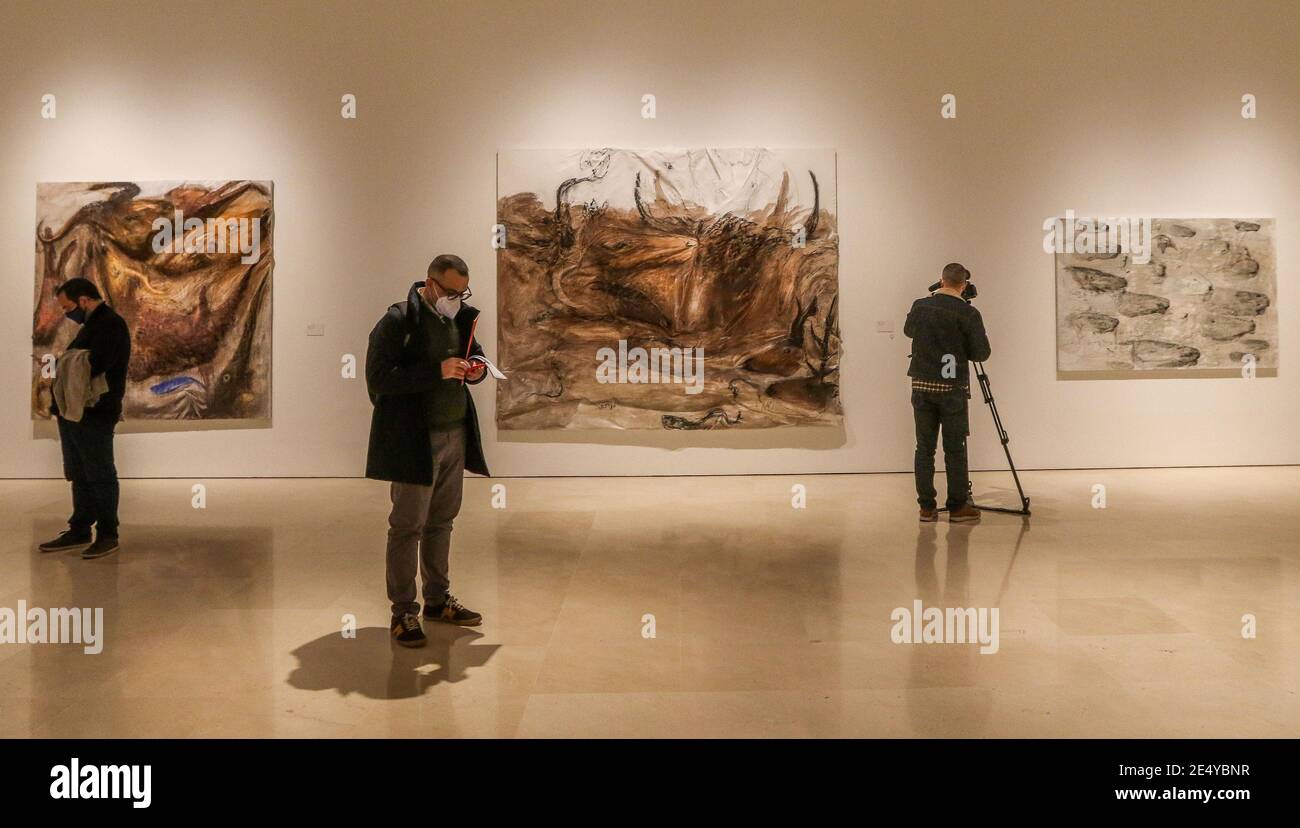 Malaga, Espagne. 25 janvier 2021 : ouverture de l'exposition Metamorphose de Miquel Barcelo au Musée Picasso, Malaga, Espagne. Crédit : ZUMA Press, Inc./Alay Live News Banque D'Images