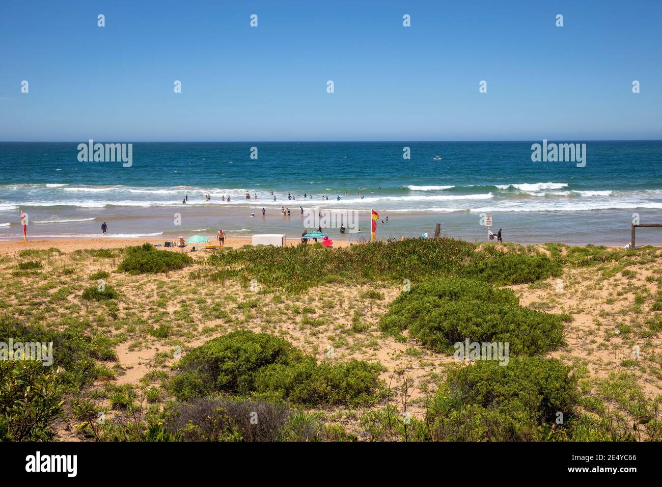 Les personnes qui nagent dans l'océan à Palm Beach à Sydney, Nouvelle-Galles du Sud, Australie, le jour de l'été Banque D'Images