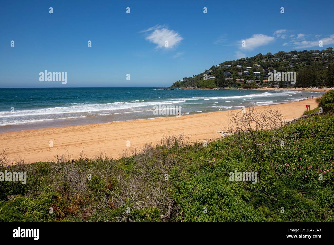 Vue sur le sable à Palm Beach et l'océan, les plages du nord de Sydney, Nouvelle-Galles du Sud, Australie le jour de l'été Banque D'Images