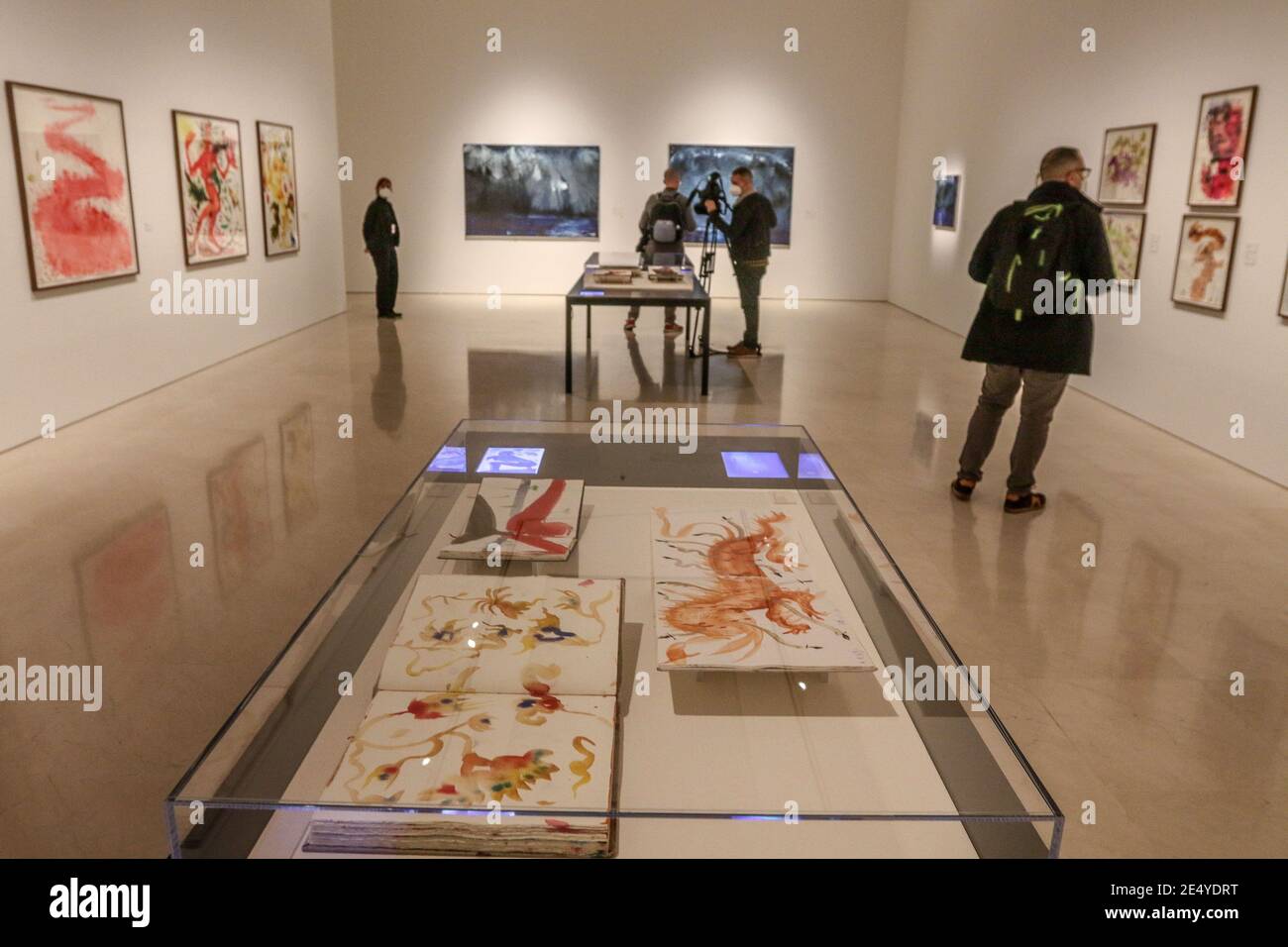 25 janvier 2021: 25 janvier 2021 (Malaga) Miquel BarcelÃ³ emmène sa 'tamorfose' au Musée Picasso, avec près d'une centaine d'œuvres réalisées en six ans. Le Musée Picasso Malaga présente à partir de ce mercredi 27 janvier l'exposition 'Miquel BarcelÃ³. Métamorphose', qui tire son nom de l'histoire de Franz Kafka publiée en 1915, avec environ 100 œuvres faites entre 2014 et 2020 qui peuvent être envisagées jusqu'en septembre prochain. Crédit : ZUMA Press, Inc./Alay Live News Banque D'Images