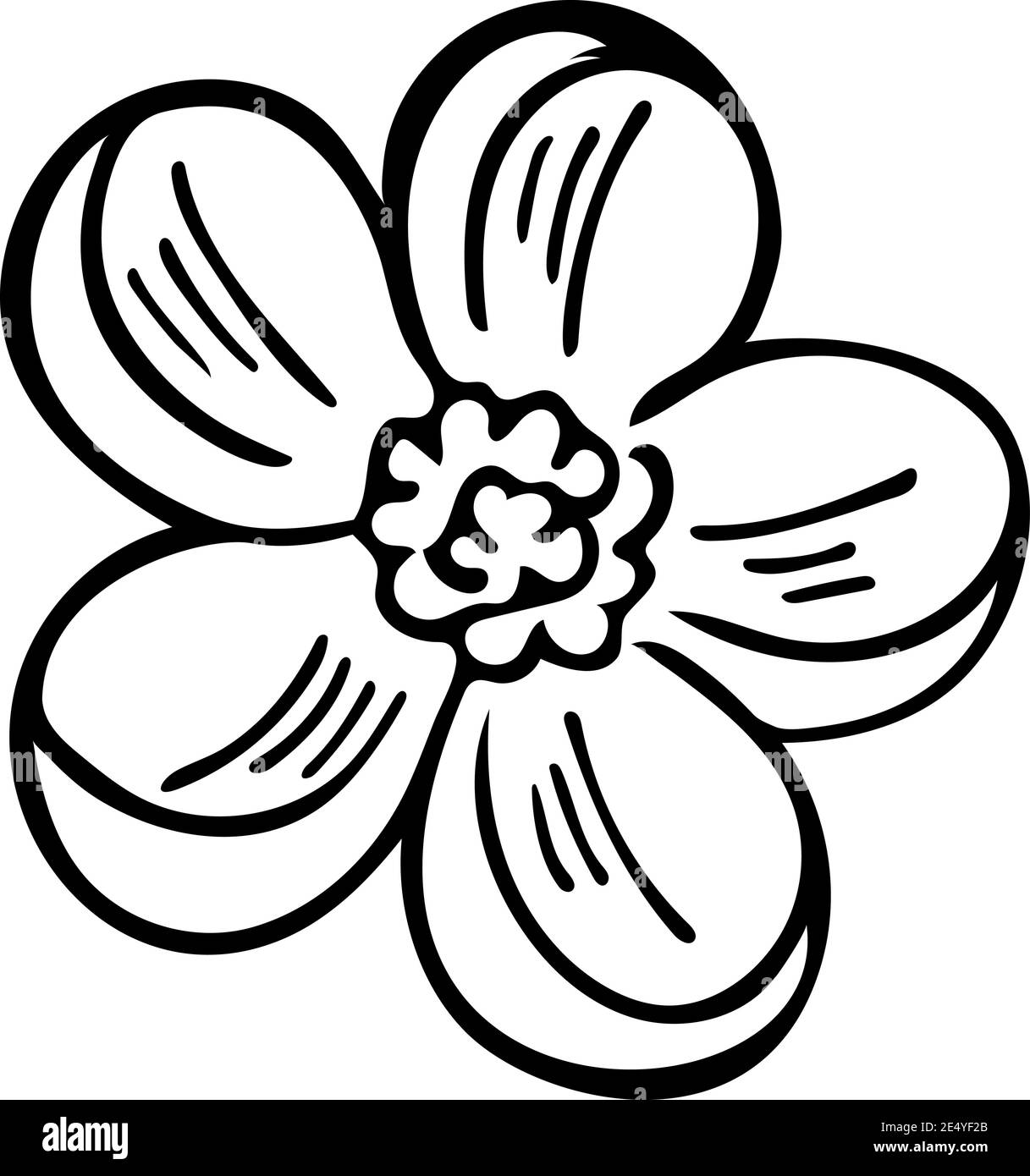 Esquisse d'une seule fleur sur fond blanc. Vecteur floral. Illustration de Vecteur