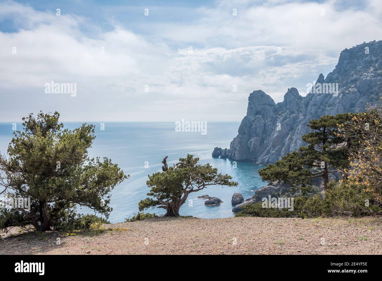 Vue sur la pente de montagne avec les arbres Crimean Juniper et Eaux bleues de la mer Noire à l'horizon Banque D'Images